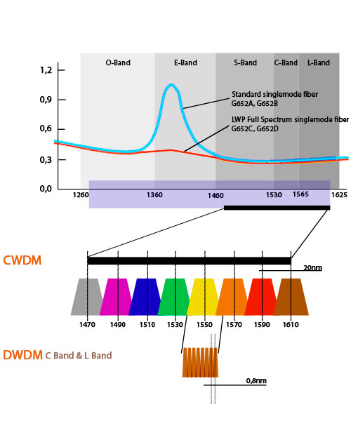 cwdm